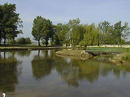 etang-bourg-gironde